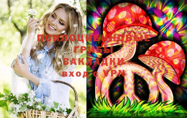 a pvp Няндома