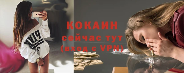 a pvp Няндома
