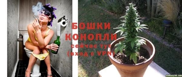 a pvp Няндома
