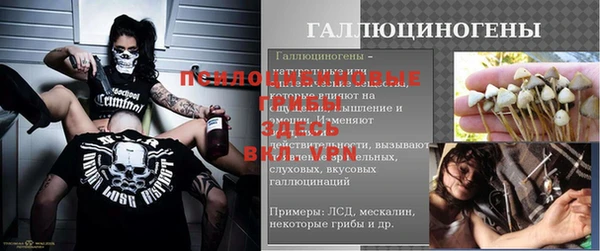a pvp Няндома