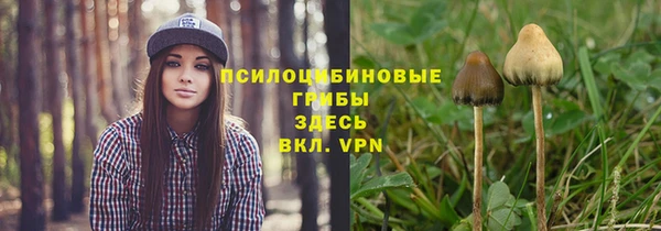 прущие крисы Нязепетровск